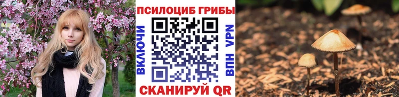 OMG вход  что такое   Муравленко  Галлюциногенные грибы MAGIC MUSHROOMS 
